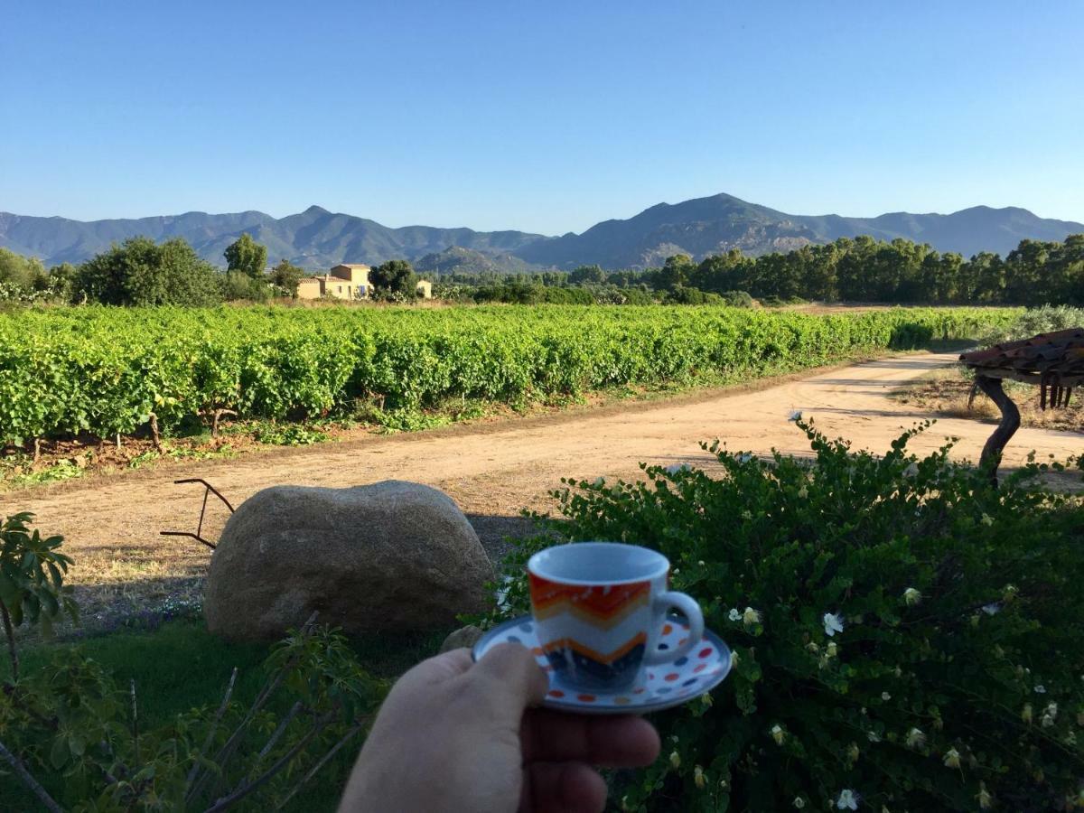 San Priamo 卡鲁比旅馆旅馆 外观 照片