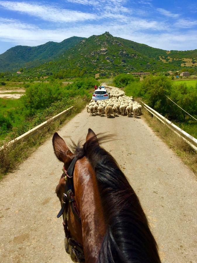 San Priamo 卡鲁比旅馆旅馆 外观 照片